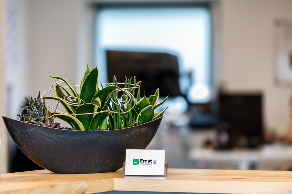 IT-Dienstleistung Marl Recklinghausen NRW Ernst IT Consulting